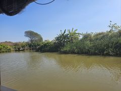 -江门古劳水乡旅游区