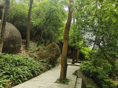 -火炉山森林公园