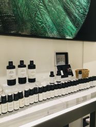 -奥斯芬·欧系贵族SPA