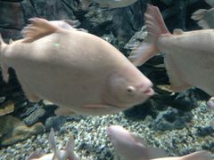 -多彩贵州城极地海洋世界