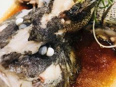 -王庄阿咪海鲜大排档(象园店)