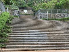 -银湖山郊野公园-相思林