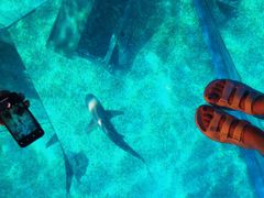 -暹罗海洋世界