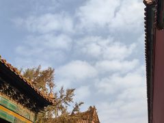 -故宫博物院(故宫)