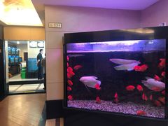 -天福海鲜酒楼·闽菜海鲜·宴请聚会(五四路店)