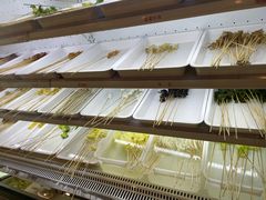-闵四遵义羊肉粉(朝外大街店)