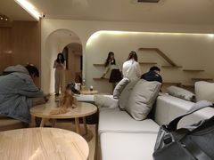 -猫腻·猫咖·撸猫馆(星光大道店)
