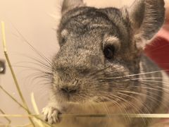 -龙猫仔乐园(惠福东路店)