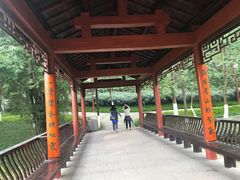 -重庆彩云湖湿地公园