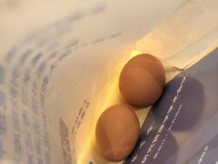 -阜阳富力万达嘉华酒店·美食汇自助餐厅