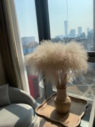 -美肌工坊皮肤管理