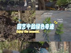 -炎黄艺术馆