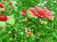 -南京市无想山景区