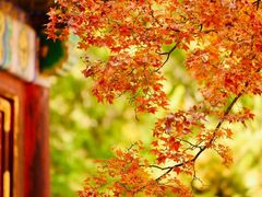 -香山公园
