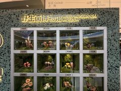 -芸山季·云南山珍菌火锅(南翔印象城MEGA店)