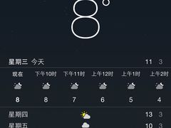 -花钟