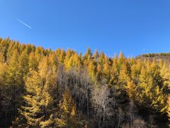 -苏木山森林公园