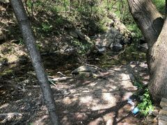 -木兰云雾山
