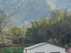 -南湾湖