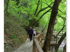 -黎坪国家森林公园