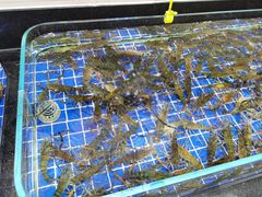 -宝轩渔府·老字号海鲜·正宗津菜(水上店)