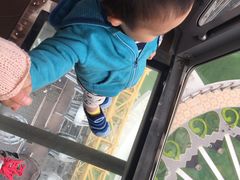 -影汇之星8字形摩天轮