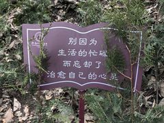 -终南山南五台景区
