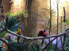 -杭州开元森泊度假乐园