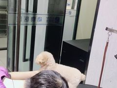 -宠颐生动物医院·小陆分院