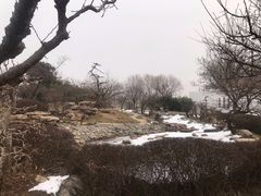 -石家庄市植物园