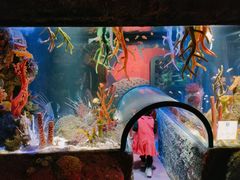 -沈阳海洋探索中心