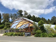 -怀托摩萤火虫洞