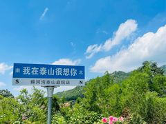 -蘇河湾·新鲁菜·泰山宴(泰山店)