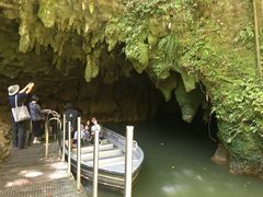 -怀托摩萤火虫洞