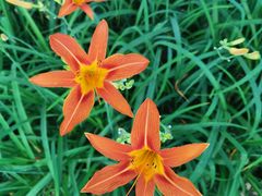 -北京国家会计学院