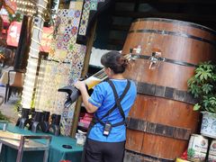 -刘姐啤酒鱼民族演艺餐厅(西街总店)