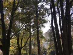 -宁波儿童公园(鄞州区)