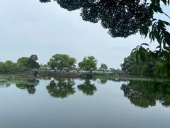 -无锡蠡湖国家湿地公园-蠡园