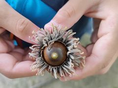 -北京鹫峰国家森林公园