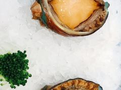 -红鼎豆捞·非遗鲍皇汤火锅(宝丰路店)