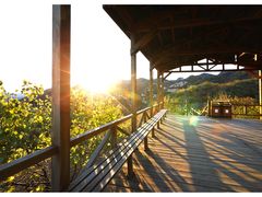 -大岭沟猕猴桃谷风景区
