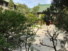-北京协和医院(东单院区)