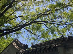 -北京国子监胡同