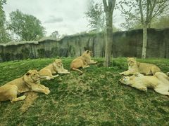 -北京野生动物园