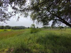 -野鸭湖国家湿地公园