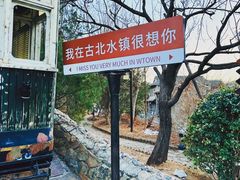 -步步高桥头糕