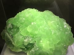 -湖南省地质博物馆