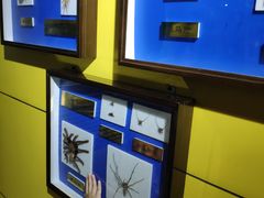 -上海昆虫博物馆