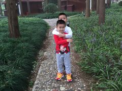 -崇明东平国家森林公园烧烤房车露营地