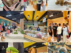 -帕帕拉兹宠物(亚洲旗舰店)